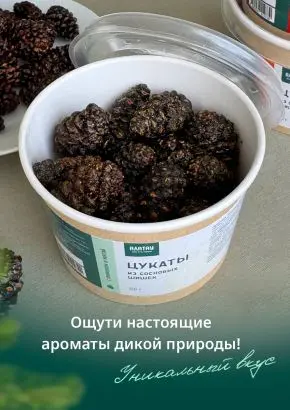 Цукаты из сосновых шишек с лимоном и мятой, 150 г Цукаты из сосновых шишек с лимоном и мятой, 150 г
