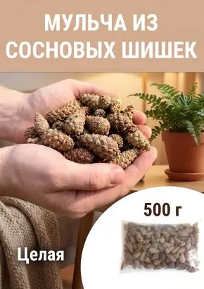 Мульча для сада из шишек целая 500 гр Мульча для сада из шишек целая 500 гр