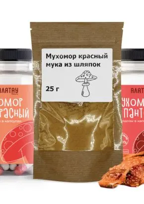 КОМБО «Грибная аптека»: микродозинг из мухомора пантерного, красного, сушеного красного и порошка из шляпок КОМБО «Грибная аптека»: микродозинг из мухомора пантерного, красного, сушеного красного и порошка из шляпок