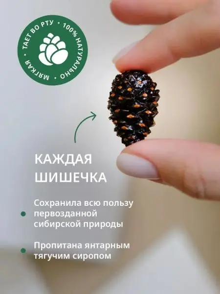 Цукаты из сосновых шишек на шпажке 25 гр