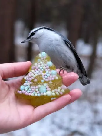 Мармелад сосновый ЁЛОЧКА, 90гр Мармелад сосновый ЁЛОЧКА, 90гр