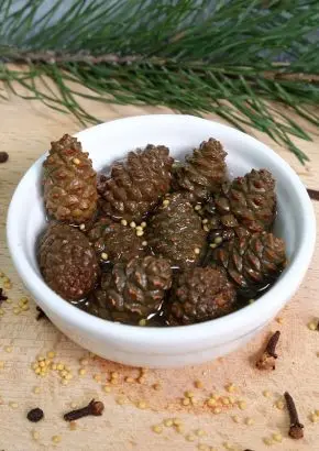 Каперсы из сосновых шишек маринованные с пряностями, 200 мл Каперсы из сосновых шишек маринованные с пряностями, 200 мл