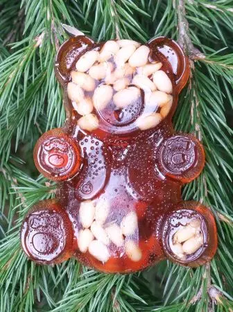 Мармелад сосновый "Мишка" на пектине с кедровыми орешками, 90 г Мармелад сосновый "Мишка" на пектине с кедровыми орешками, 90 г