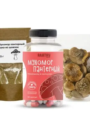 Комбо набор Пантерный 3в1: микродозинг из мухомора, сушеные шляпки и мука из шляпок Комбо набор Пантерный 3в1: микродозинг из мухомора, сушеные шляпки и мука из шляпок